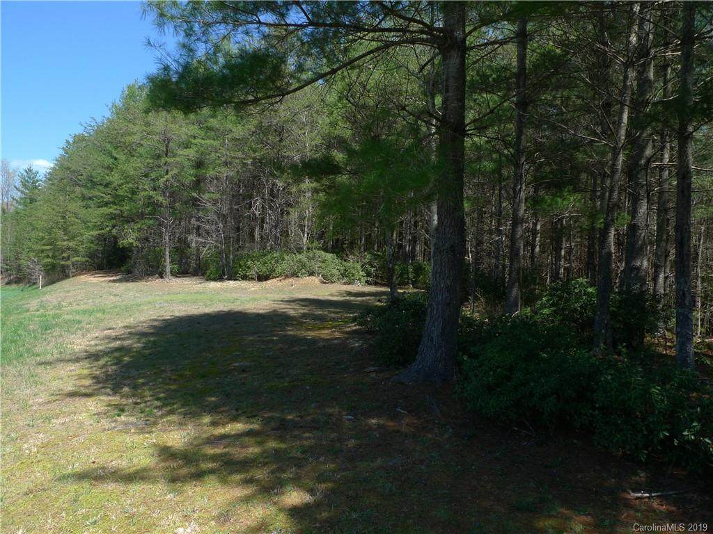 103 Big Tree Way - Photo 1