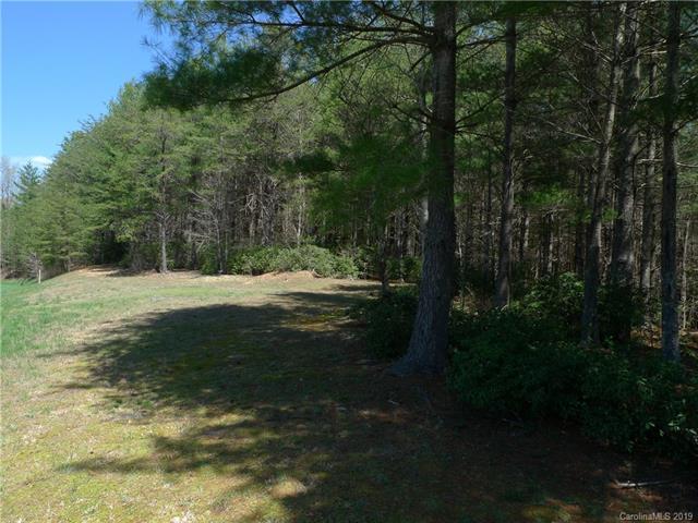 103 Big Tree Way - Photo 1