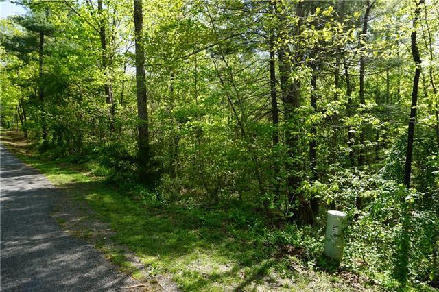 0000 Hibriten Mountain Road - Photo 1