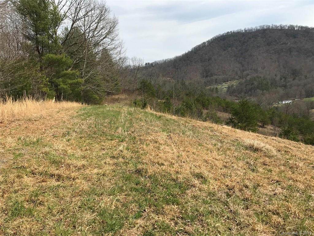 00 Sandy Mush Road - Photo 1