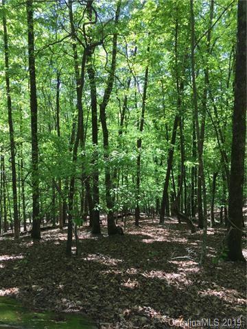 0 Whippoorwill Drive - Photo 1
