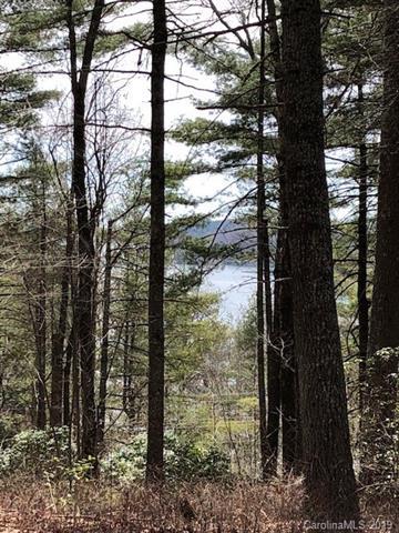 TBD Panther Ridge Road - Photo 1