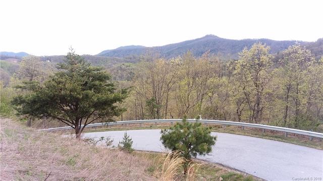 0000 Catawba Falls Parkway - Photo 1