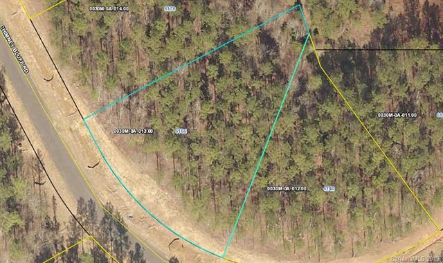 6166 Chimney Bluff Road - Photo 1