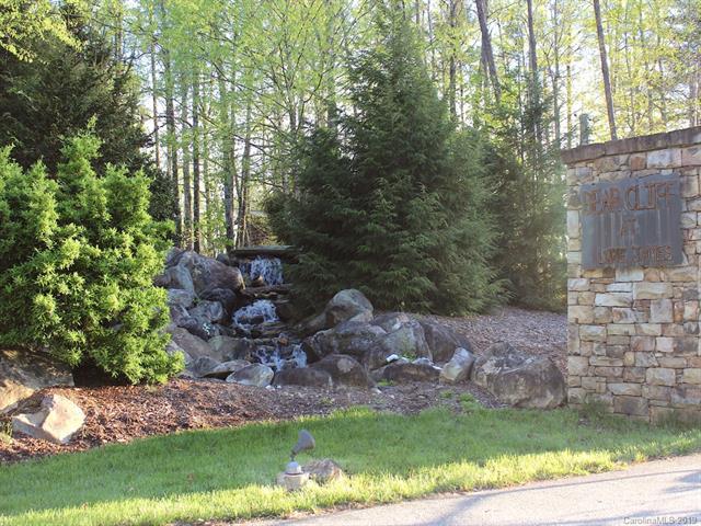0000 Lake Ridge Drive - Photo 1