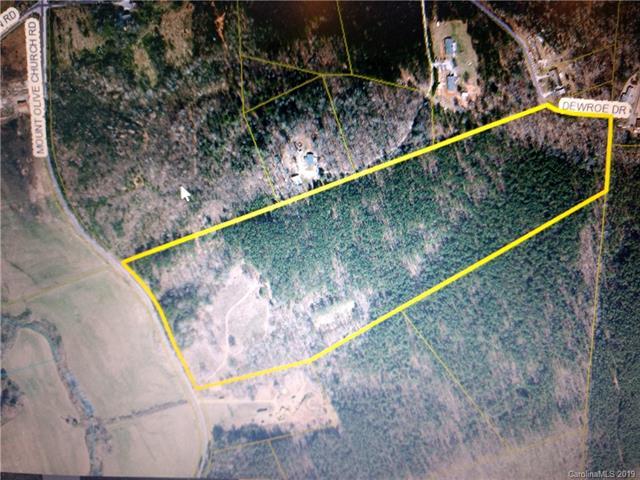000 Mount Olive Church Road - Photo 1