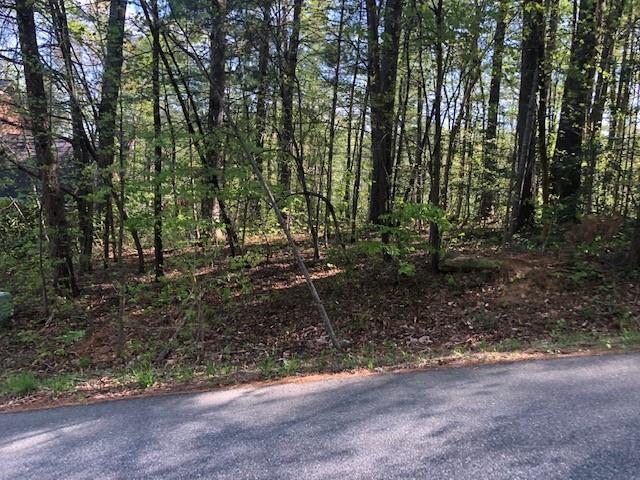 00 Cedar Drive - Photo 1