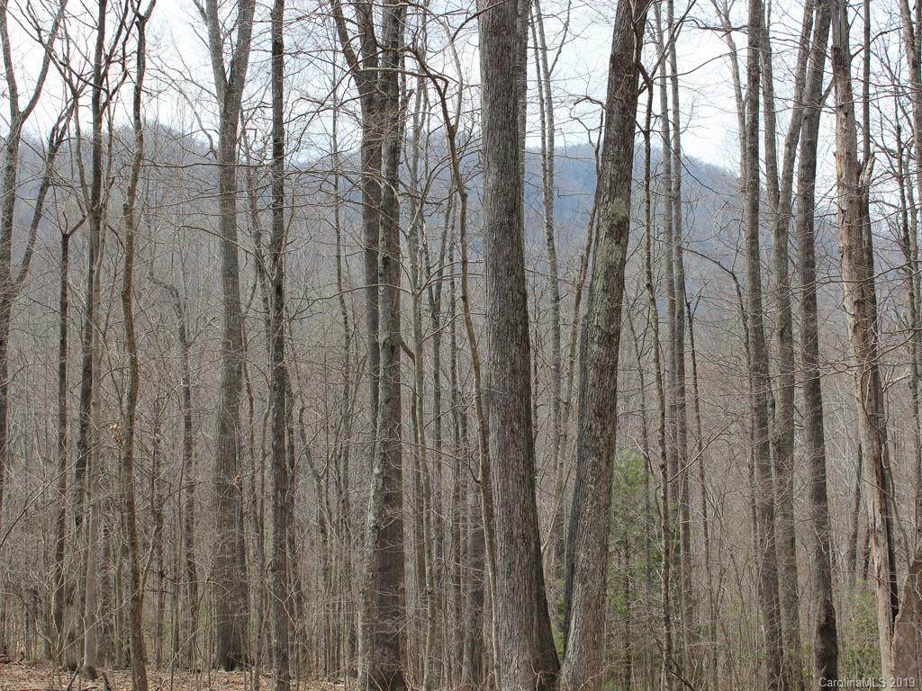 00 Wooded Valley Lane - Photo 1