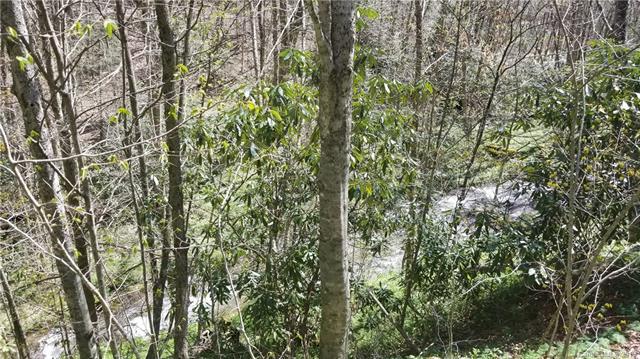 00 Mashstomp Road - Photo 1