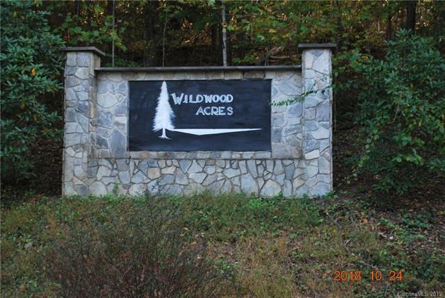 Lot 10 & 19 Wildwood Mountain Lane - Photo 1
