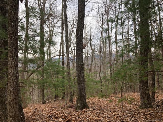 12 Acres Eli Capps Road - Photo 1