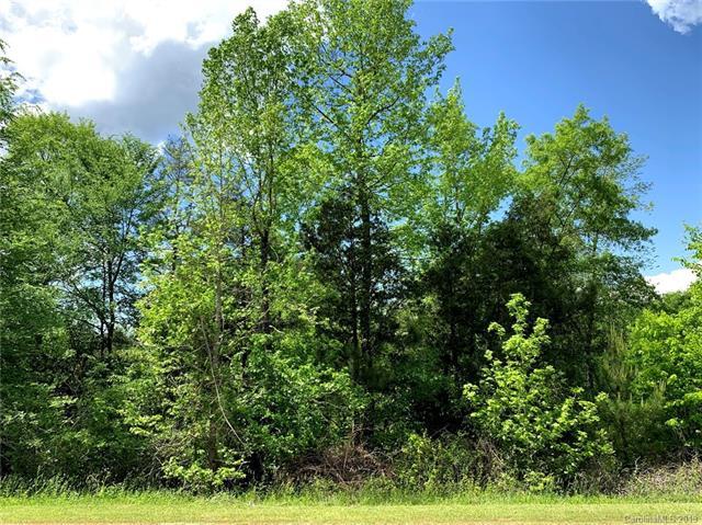 2.31 Acres Ballindam Road - Photo 1