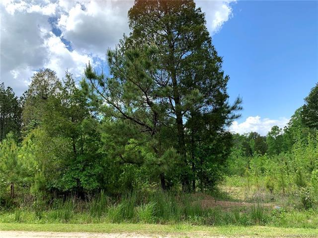 2.23 Acres Ballindam Road - Photo 1