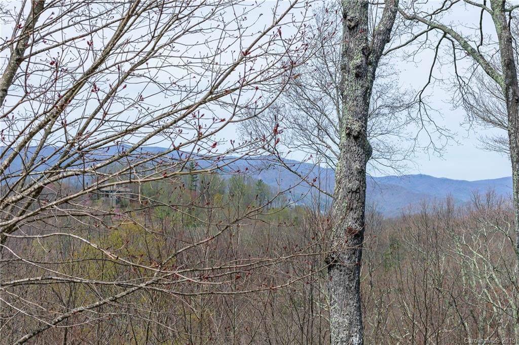 Lot 78 Ball Camp Road - Photo 1