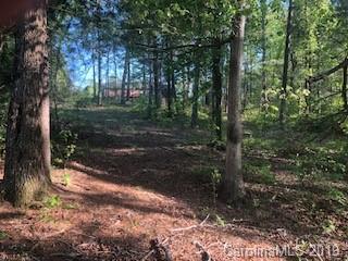 V/L Twin Oaks Drive - Photo 1