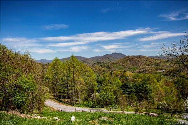 Lot 119 Awesome Ridge - Photo 1