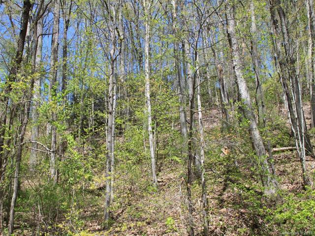 822 Mouzon Road - Photo 1