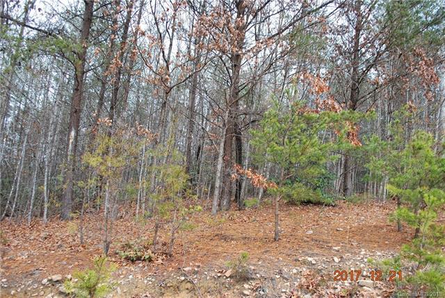Lot 17 Bambi Drive - Photo 1