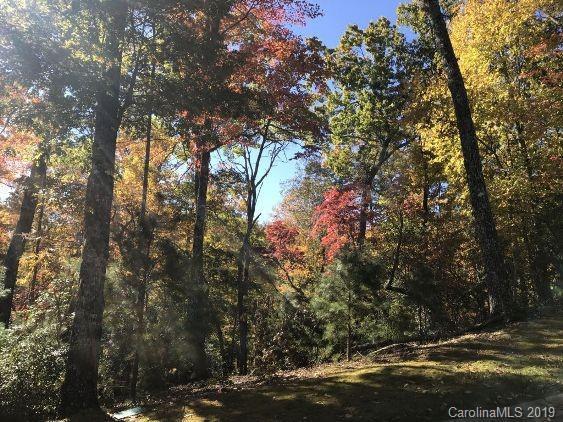 323 Shining Rock Path - Photo 1