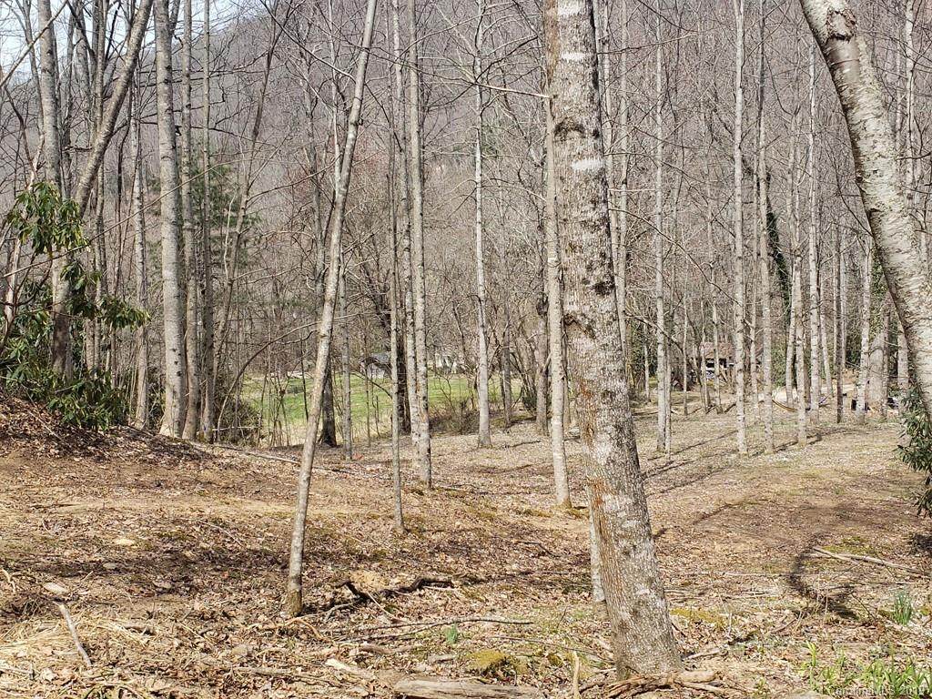 TBD Garren Creek Road - Photo 1 TBD Garren Creek Road - Photo 1