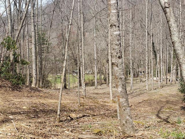 TBD Garren Creek Road - Photo 1