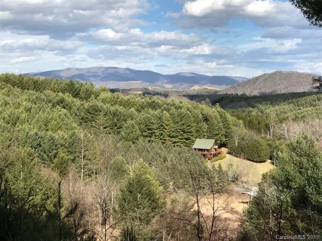 000 Lucky Valley Road - Photo 1