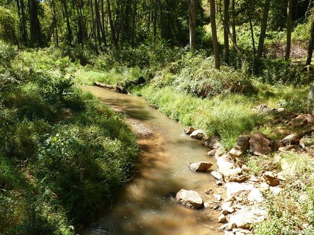 000 Old Nc 20 Highway - Photo 1