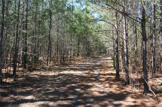 115 AC Rachael Road - Photo 1
