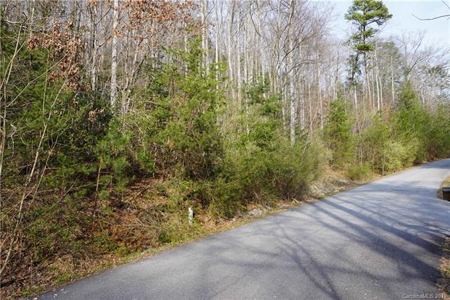 285 & 311 LOT 1&2 Charming Lane - Photo 1