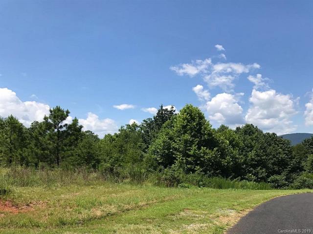 LOT # 28 Lake Adger Parkway - Photo 1