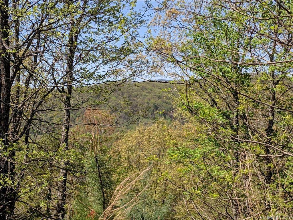 00 Yellowood Lane - Photo 1