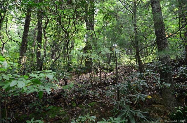 Lot 8 Miller Mountain Road - Photo 1