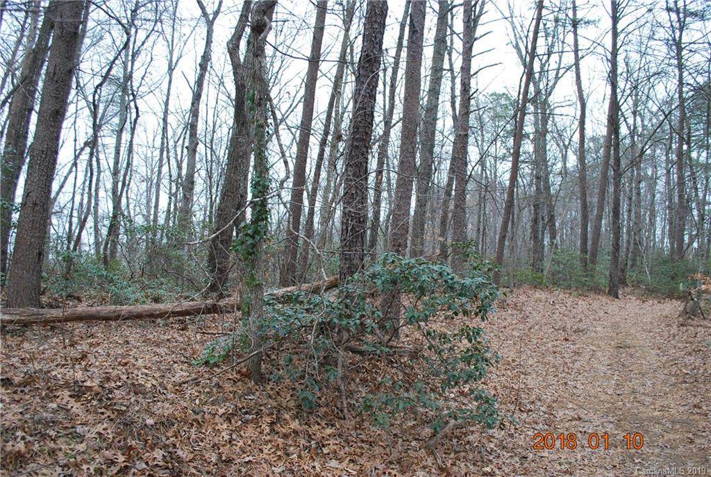 Tract C Amelia Drive - Photo 1