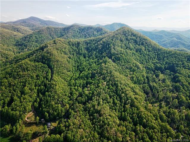 00 Fork Road - Photo 1