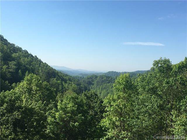000 Grapevine Road - Photo 1