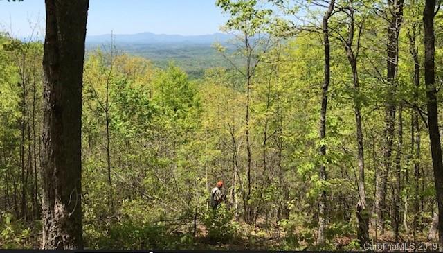 25 Mountain Lookout Drive - Photo 1