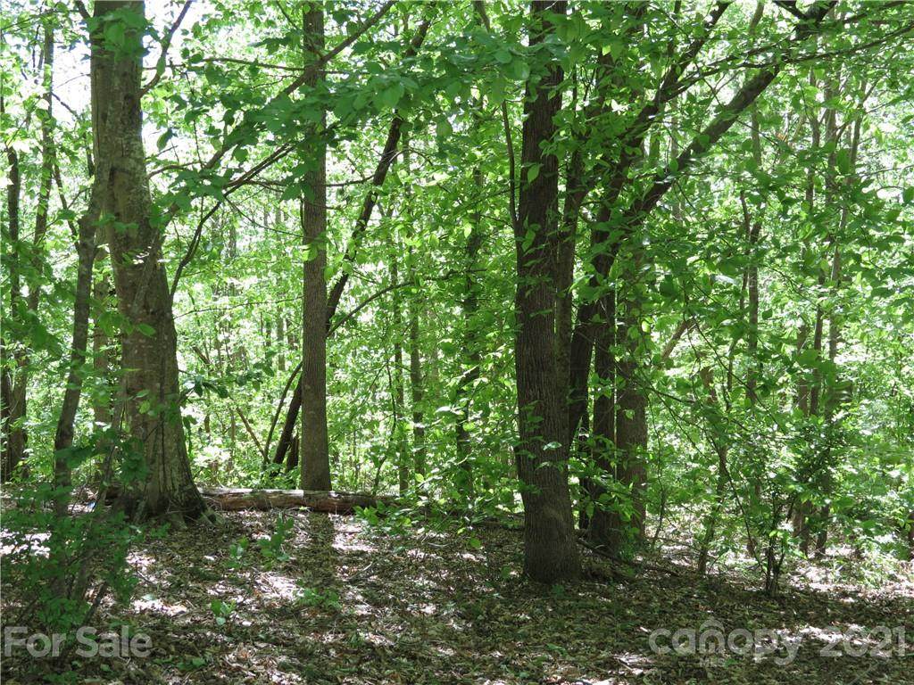 Lot 35 & 37 General Griffith Circle - Photo 1
