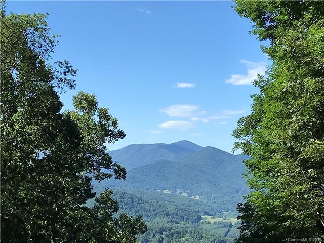 000 Phillips Knob Road - Photo 1
