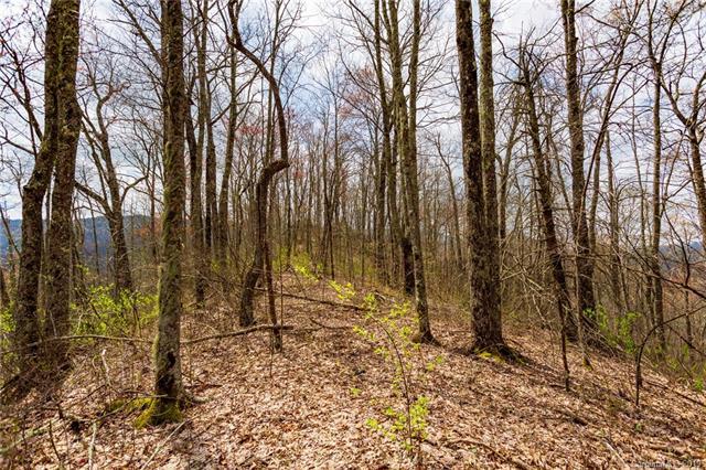 Lot 27 Black Rock Road - Photo 1