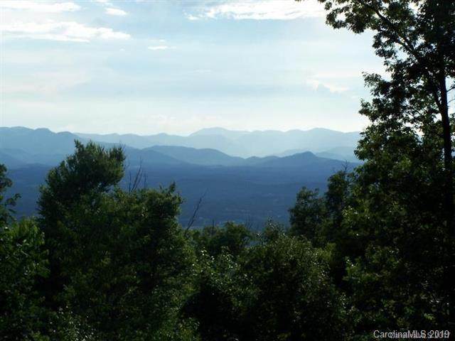 315 Gentian Trail - Photo 1