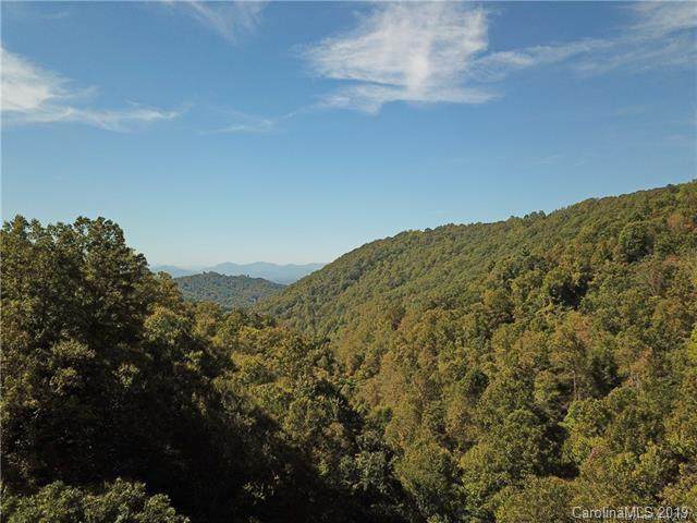 315 Gentian Trail - Photo 1