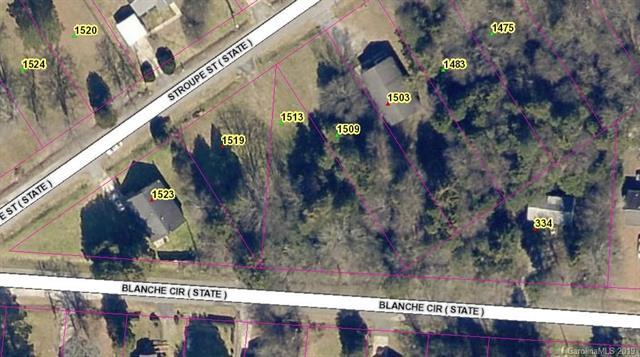 1513 Stroupe Street - Photo 1