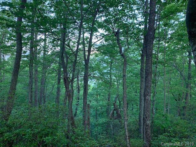 0000 Hawks Nest Trail - Photo 1