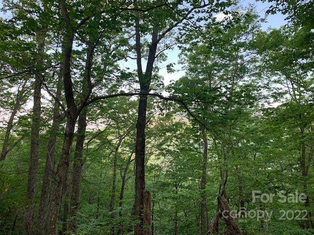0000 Hawks Nest Trail - Photo 1