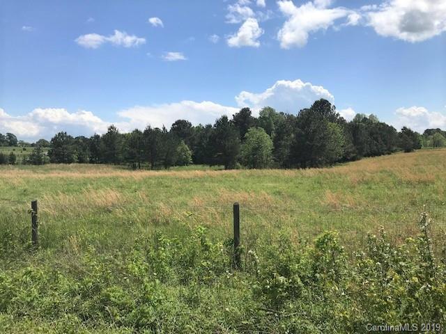 10 Acre Tract Charlotte Highway - Photo 1