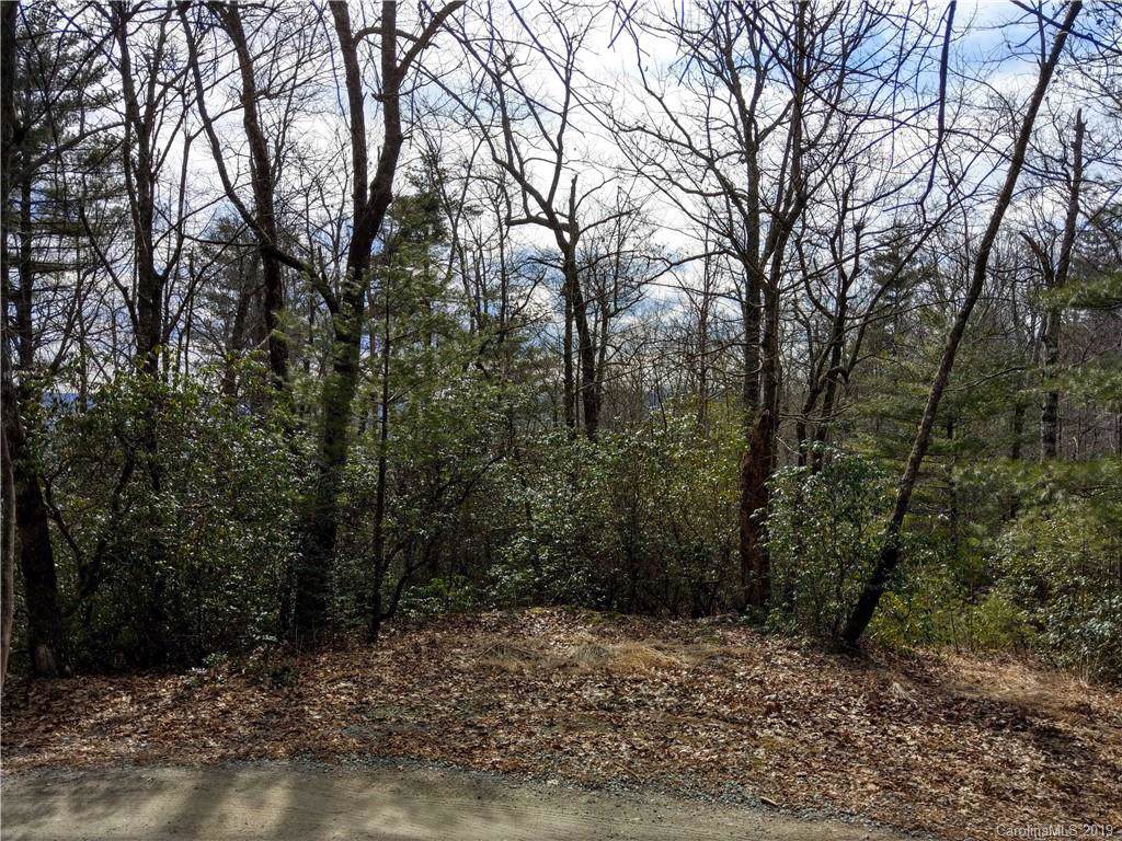 000 Dogwood Drive - Photo 1