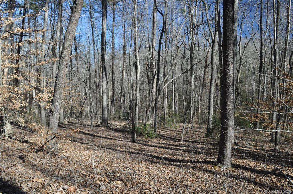 0000 Winding Creek Lane - Photo 1