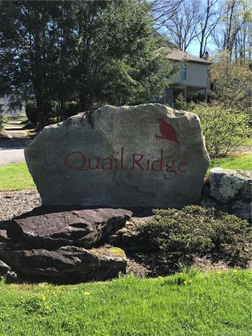 00 Quail Mountain Lane - Photo 1