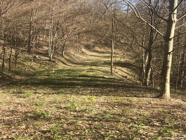 Lot C-6 Liner Creek Road - Photo 1