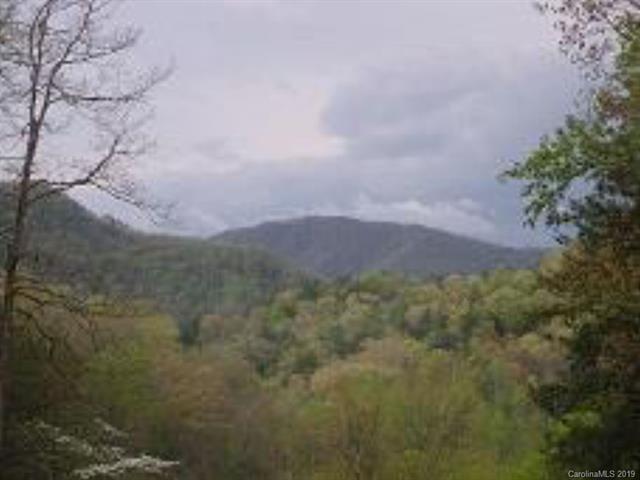 Lot #5 Moses Creek Road - Photo 1